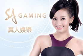 老王娛樂城SA真人